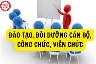 Kế hoạch đào tạo, bồi dưỡng nâng cao chất lượng đội ngũ cán bộ, công chức, viên chức giai đoạn 2023 - 2025, định hướng đến năm 2030 của tỉnh Bình Định