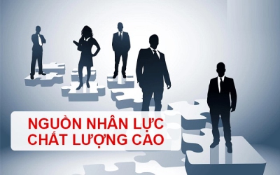 Thông tin về Chính sách thu hút nguồn nhân lực chất lượng cao của tỉnh Bình Định đến năm 2025